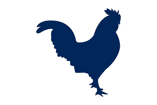 Free download Cock Animal Silhouette -  free illustration to be edited with GIMP free online image editor