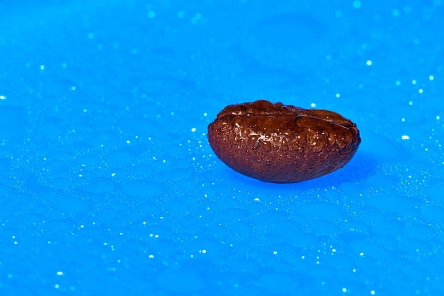 Free download coffee bean drops macro rain free picture to be edited with GIMP free online image editor