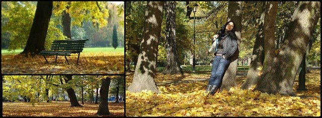 Free download Collage Autumn Kraków -  free illustration to be edited with GIMP free online image editor