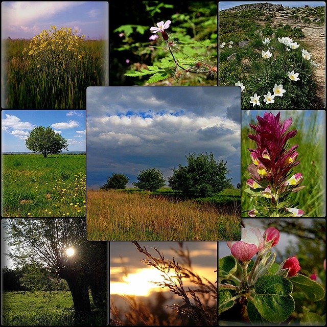 Free download Collage Nature Poland -  free illustration to be edited with GIMP free online image editor