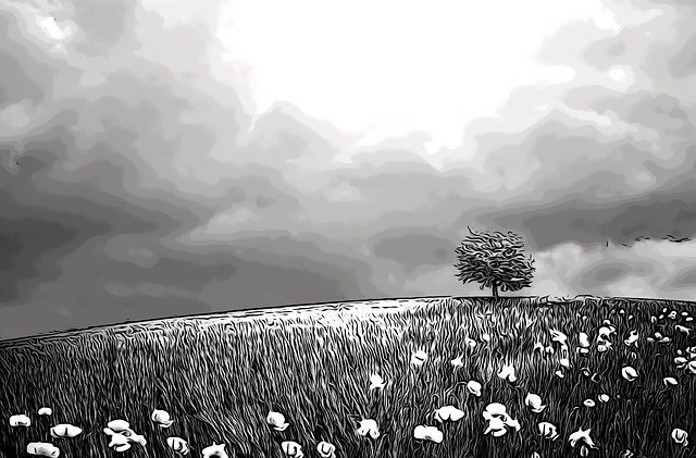 Free download Comic Tree Wild Grass -  free illustration to be edited with GIMP free online image editor