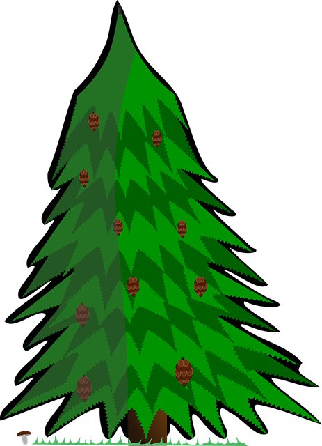 Free download Conifer Vector Tree - Free vector graphic on Pixabay free illustration to be edited with GIMP free online image editor