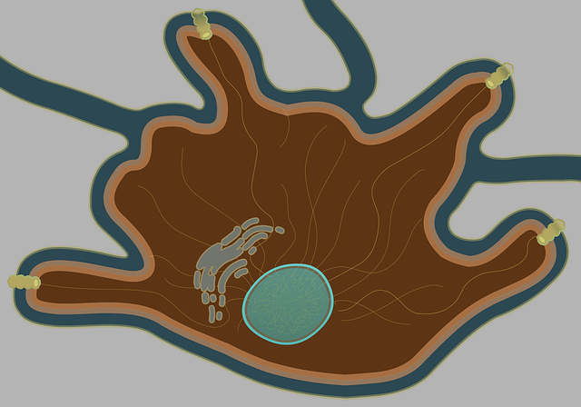 تنزيل Connectedbio Melanocyte Brown Cell - رسم توضيحي مجاني ليتم تحريره باستخدام محرر الصور المجاني عبر الإنترنت من GIMP