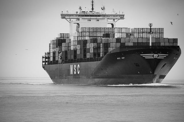 Free download container ship cargo ship msc aby free picture to be edited with GIMP free online image editor