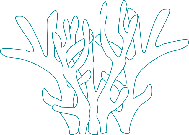 Free download Coral Underwater Plant - Free vector graphic on Pixabay free illustration to be edited with GIMP free online image editor