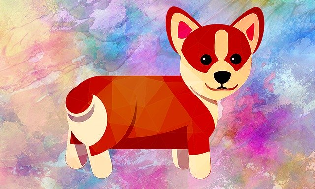 Free download Corgi Dog Pet -  free illustration to be edited with GIMP free online image editor