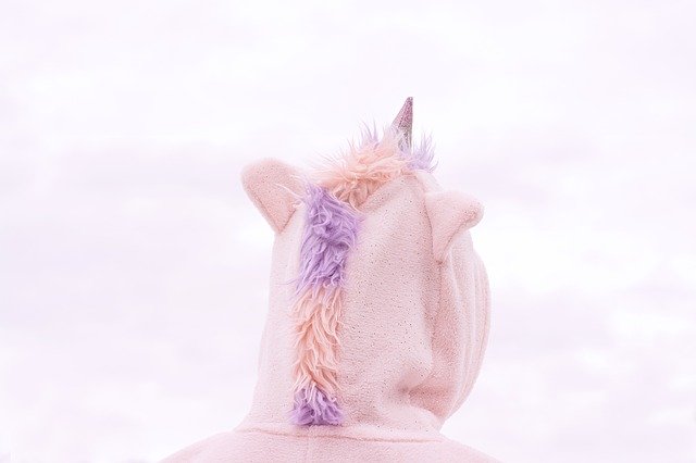 Free download Costume Unicorn Sky -  free photo or picture to be edited with GIMP online image editor