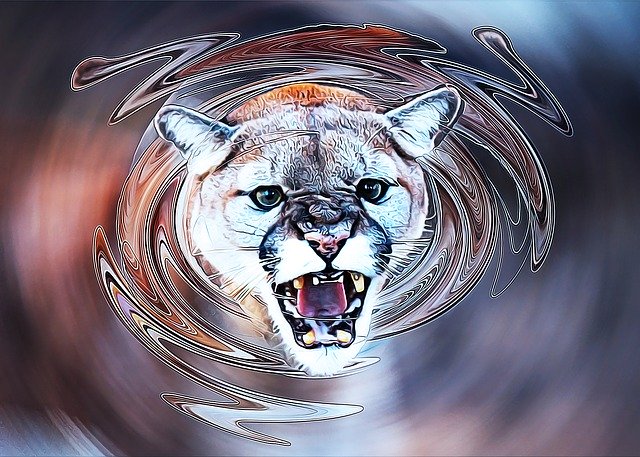 Free download Cougar Animal Art -  free illustration to be edited with GIMP free online image editor