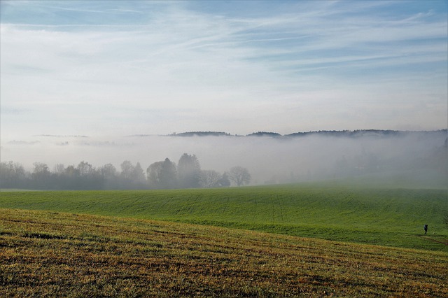 Free download country field meadows belt of trees free picture to be edited with GIMP free online image editor