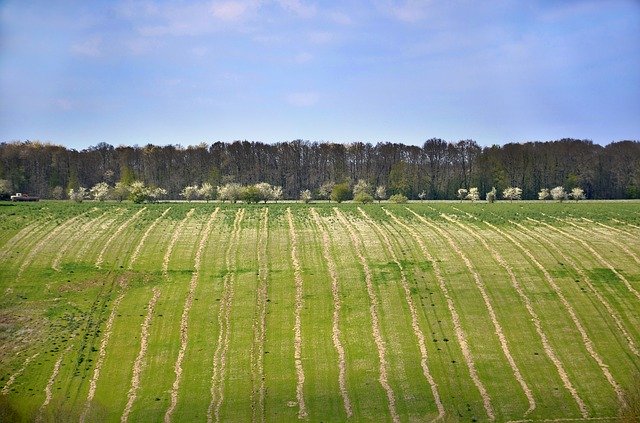 Kostenloser Download Countryside Field Spring - kostenloses Foto oder Bild zur Bearbeitung mit GIMP Online-Bildbearbeitung