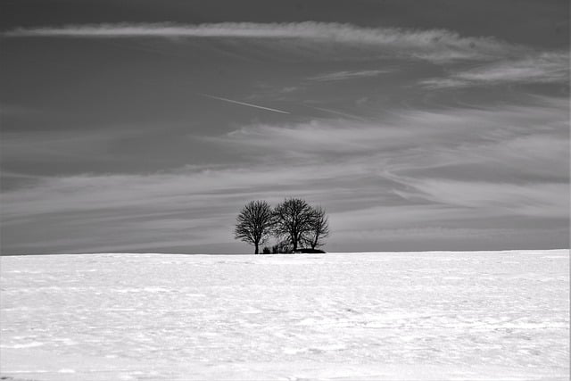 Free download country snow field winter nature free picture to be edited with GIMP free online image editor