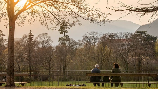 Free download couple bench old people dry trees free picture to be edited with GIMP free online image editor