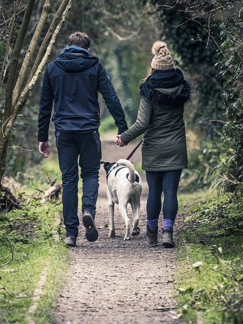 Free download couple dog walk love pet path free picture to be edited with GIMP free online image editor