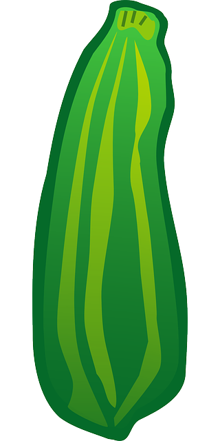 Free download Courgette Zucchini Curcubit - Free vector graphic on Pixabay free illustration to be edited with GIMP free online image editor