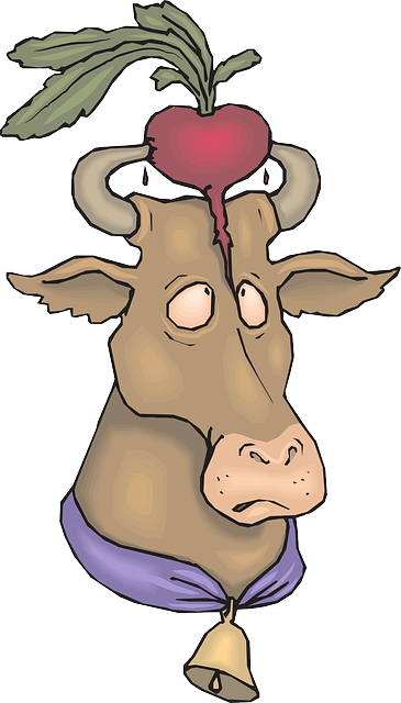 Free download Cow Bell Radish - Free vector graphic on Pixabay free illustration to be edited with GIMP free online image editor