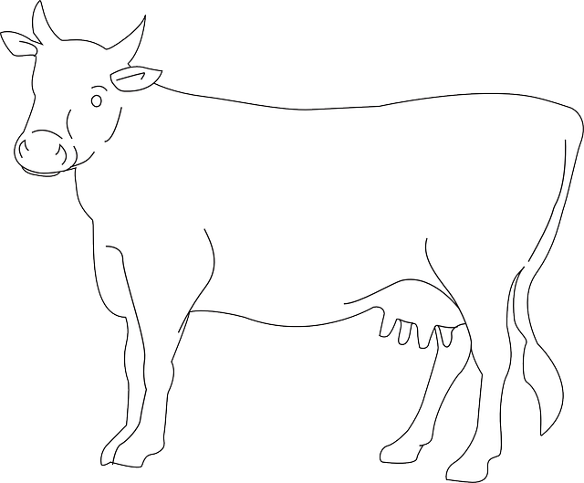 Free download Cow Cattle Livestock - Free vector graphic on Pixabay free illustration to be edited with GIMP free online image editor