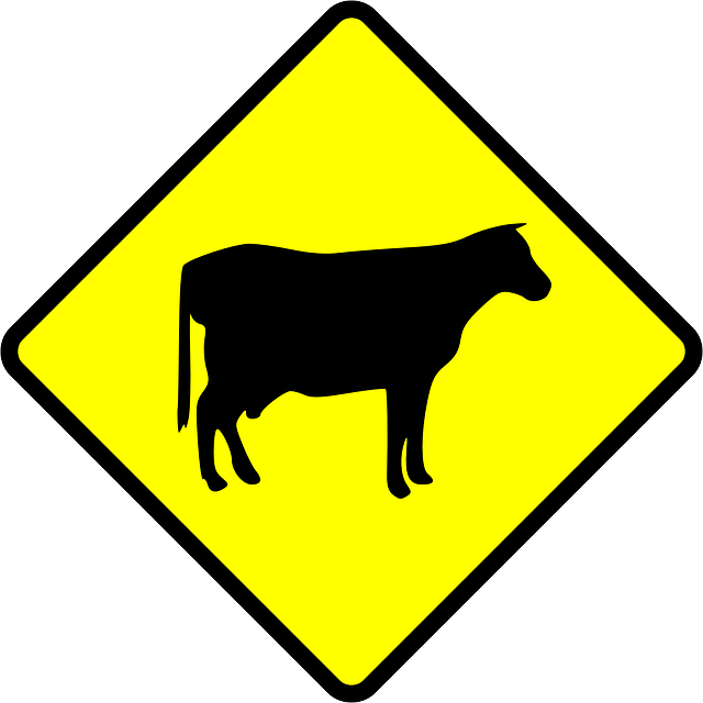 Free download Cow Crossing Cows - Free vector graphic on Pixabay free illustration to be edited with GIMP free online image editor