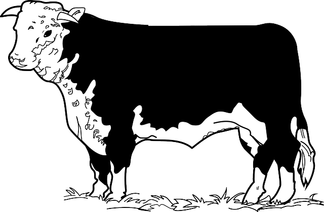 Free download Cow Grass Standing - Free vector graphic on Pixabay free illustration to be edited with GIMP free online image editor