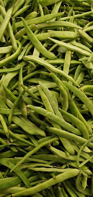 Free download cowpeas black eyed peas vegetables free picture to be edited with GIMP free online image editor