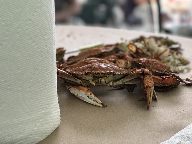 Free download Crab Feast Dinner -  free photo or picture to be edited with GIMP online image editor