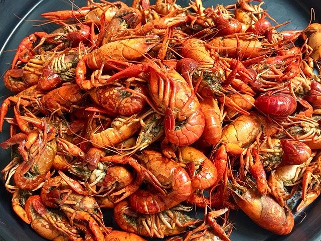 Muat turun percuma Crawfish Seafood Crayfish - foto atau gambar percuma untuk diedit dengan editor imej dalam talian GIMP