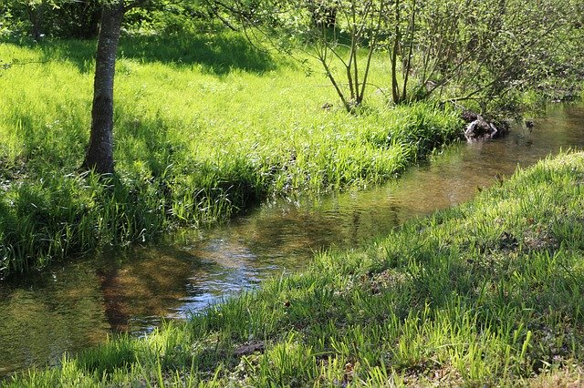 Free download Creek Spring Landscape -  free photo or picture to be edited with GIMP online image editor