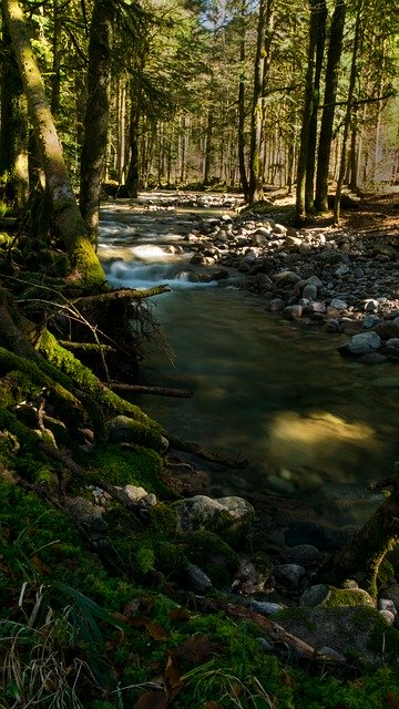 Free download Creek Vosges Nature -  free photo or picture to be edited with GIMP online image editor