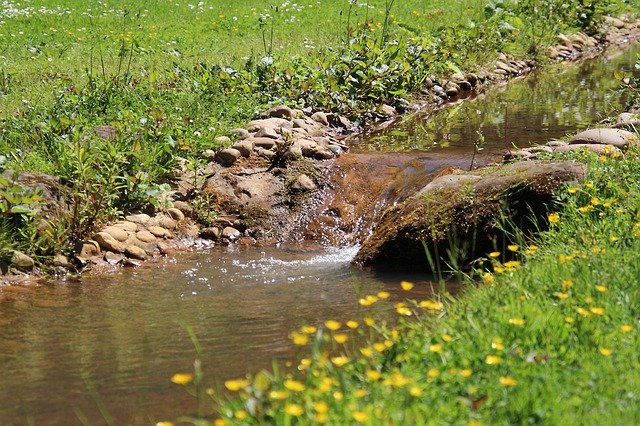 免费下载 Creek Water Nature - 使用 GIMP 在线图像编辑器编辑的免费照片或图片