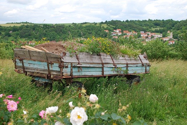 Free download Creglingen Roses Cart -  free photo or picture to be edited with GIMP online image editor