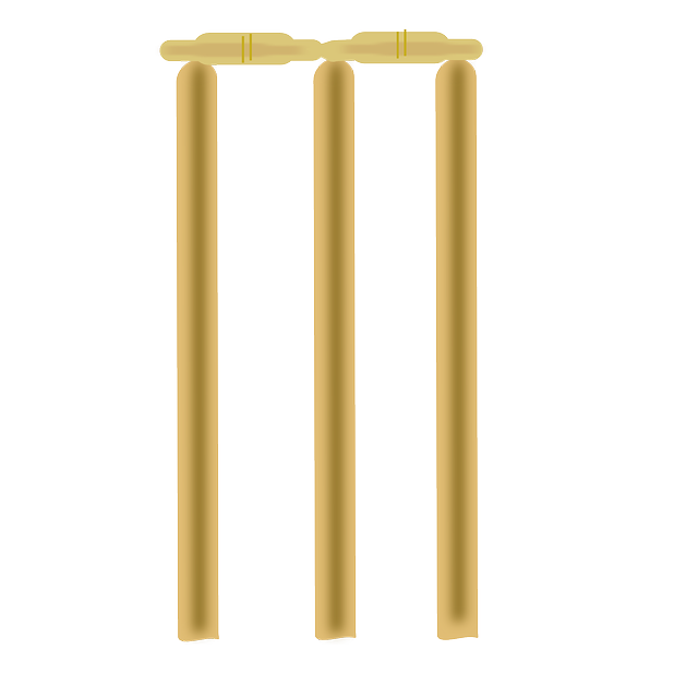 Free download Cricket Stump - Free vector graphic on Pixabay free illustration to be edited with GIMP free online image editor