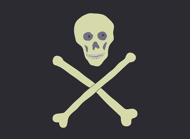 Free download Crossbones Pirate - Free vector graphic on Pixabay free illustration to be edited with GIMP free online image editor