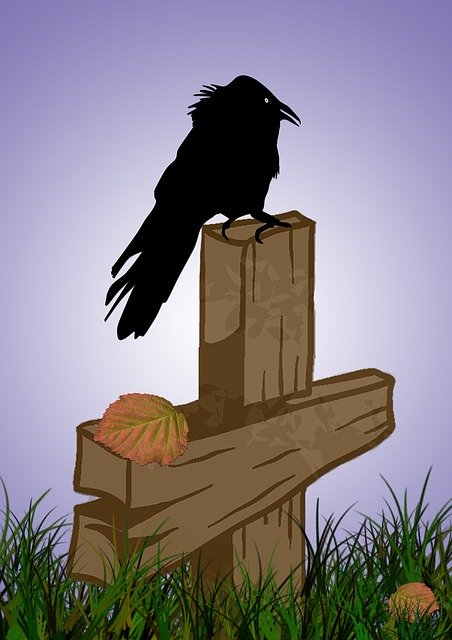 Free download Crow Bird Grave Site -  free illustration to be edited with GIMP free online image editor