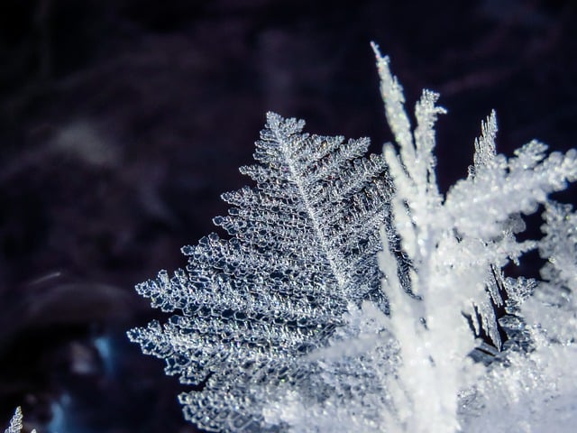 Free download crystals frost snowflake cold free picture to be edited with GIMP free online image editor