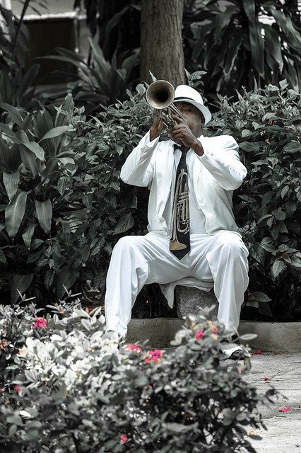 Free download Cuba Havana Trumpeter -  free photo or picture to be edited with GIMP online image editor