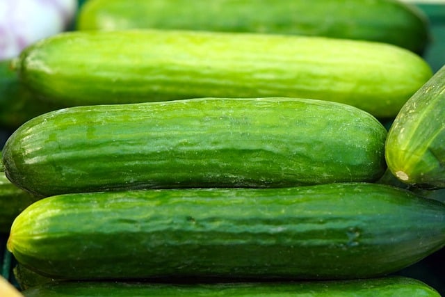 Free download cucumbers vegetables nourishment free picture to be edited with GIMP free online image editor