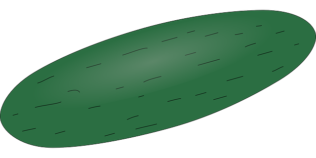 Free download Cucumber Vegetable Melon - Free vector graphic on Pixabay free illustration to be edited with GIMP free online image editor