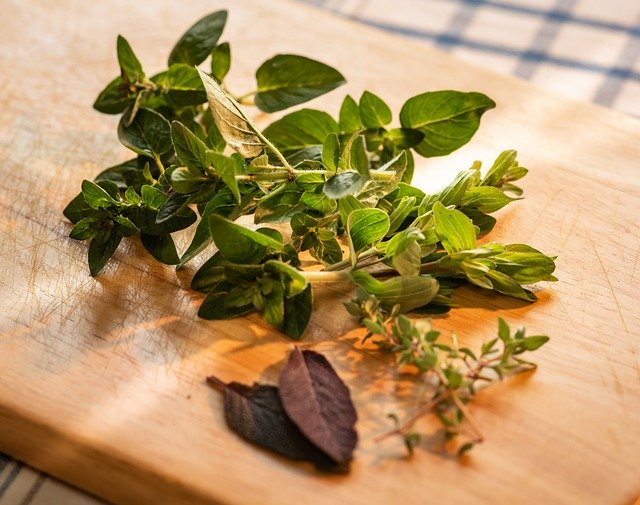 Free download Culinary Herbs Marjoram Sage -  free photo or picture to be edited with GIMP online image editor