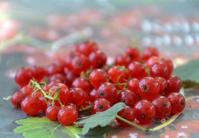 Free download Currants Red Fruit -  free photo or picture to be edited with GIMP online image editor