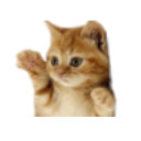 Cute kitten  screen for extension Chrome web store in OffiDocs Chromium