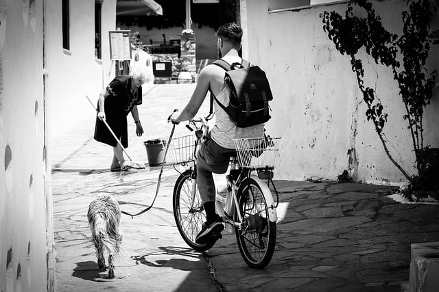 Free download cyclist dog old woman athens free picture to be edited with GIMP free online image editor