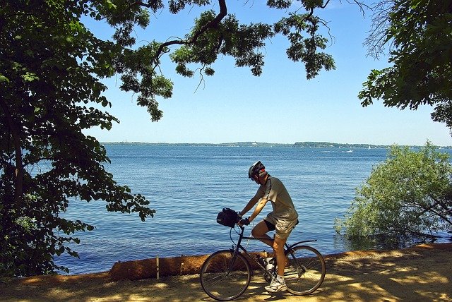 Free download Cyclist On Lakeshore Path Bicycle -  free photo or picture to be edited with GIMP online image editor