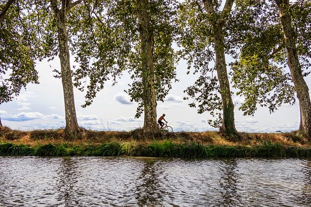 Free download Cyclists Canal Du Midi South Of -  free photo or picture to be edited with GIMP online image editor