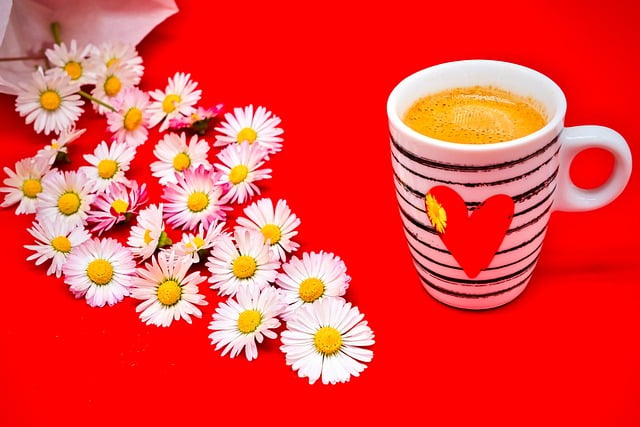 Free download daisies cup coffee pot flowers free picture to be edited with GIMP free online image editor