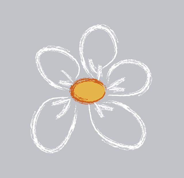 Free download Daisy Flower - Free vector graphic on Pixabay free illustration to be edited with GIMP free online image editor