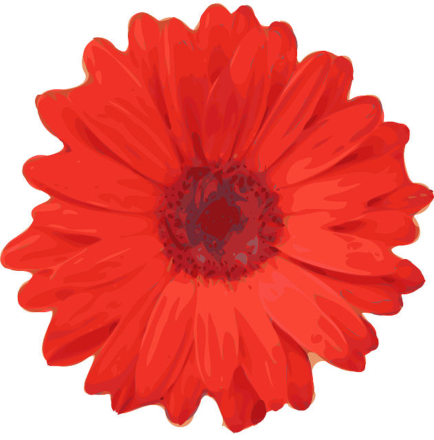 Free download Daisy Flower Red - Free vector graphic on Pixabay free illustration to be edited with GIMP free online image editor