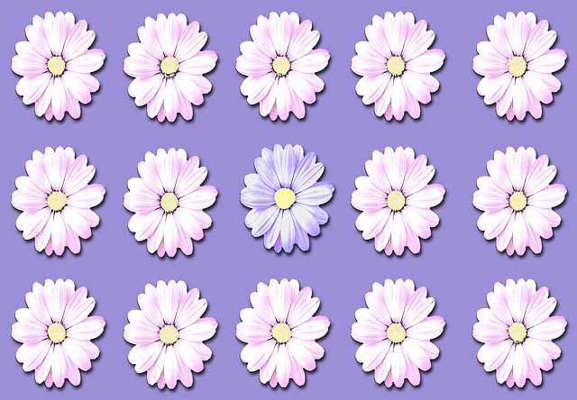 Free download Daisy Flowers Wild -  free illustration to be edited with GIMP free online image editor