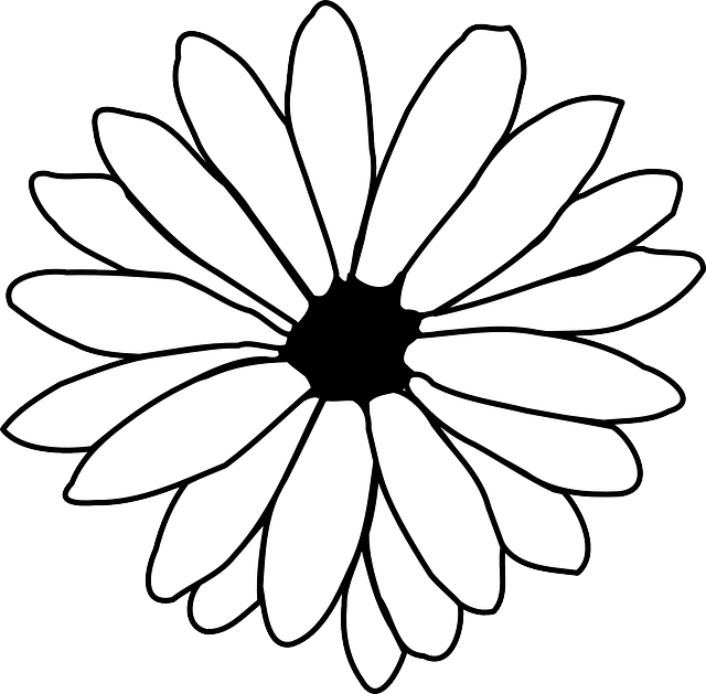 Free download Daisy Outline Black And White - Free vector graphic on Pixabay free illustration to be edited with GIMP free online image editor