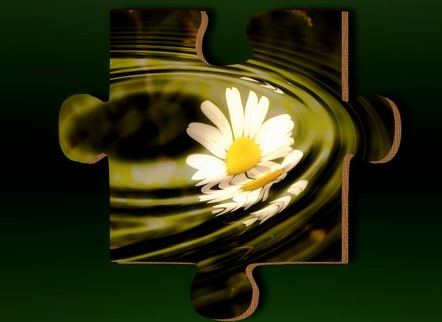 Free download Daisy Puzzle Flower -  free illustration to be edited with GIMP free online image editor