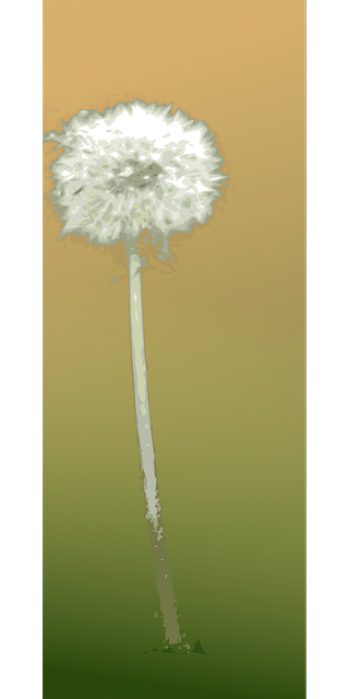 Free download Dandelion Flower Autumn - Free vector graphic on Pixabay free illustration to be edited with GIMP free online image editor