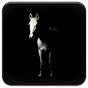 Dark Horse  screen for extension Chrome web store in OffiDocs Chromium